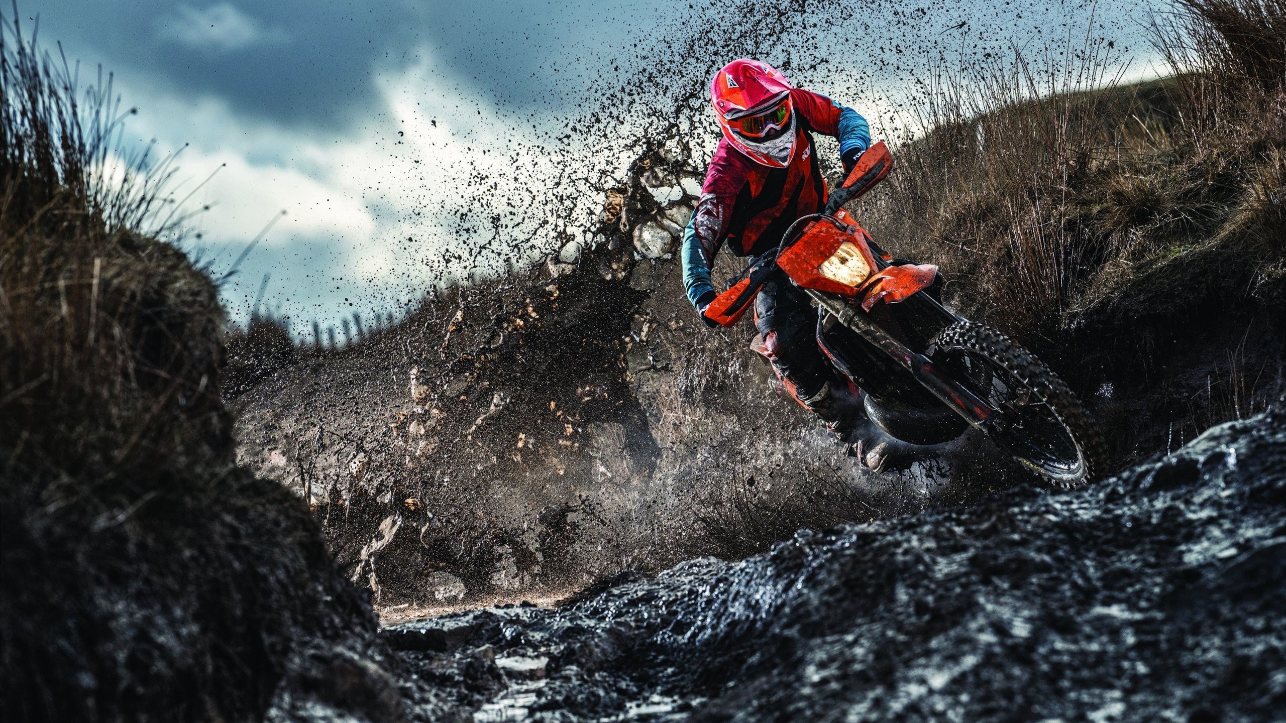 2026世界杯焦点战，雄鹿收割深圳队背后的全球篮球新叙事